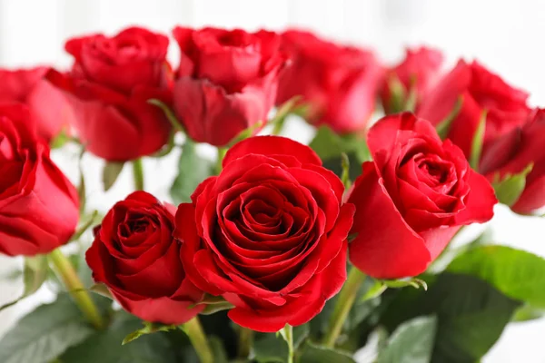 Strauß roter Rosen, aus nächster Nähe. verschwommener Hintergrund auf der Rückseite — Stockfoto
