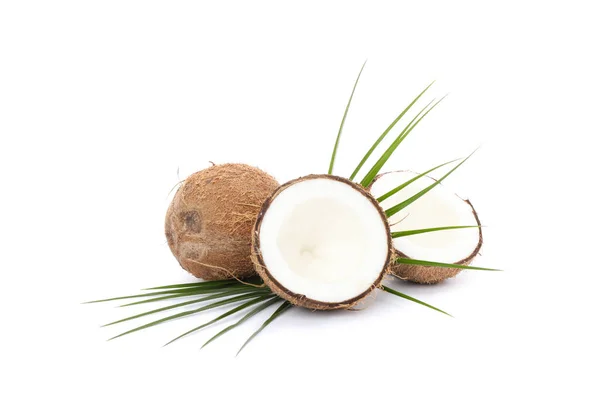 Folhas de palma, coco e duas metades isoladas sobre fundo branco — Fotografia de Stock