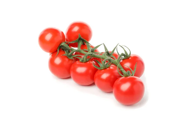 Branche de tomates rouges isolées sur fond blanc — Photo