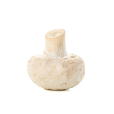 \\ hampignon mantarı beyaz arkaplanda izole edilmiş, kapat