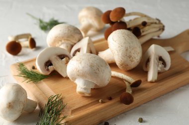 Mantar, dereotu, beyaz arka planda pansiyon ve baharatlar, kapatın.