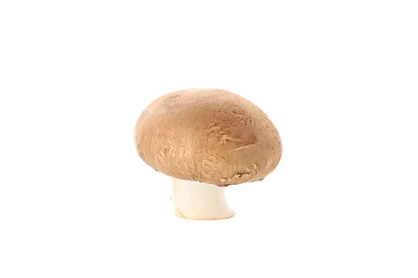 Cogumelo de champignon cru isolado no fundo branco, close-up — Fotografia de Stock