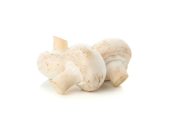 Cogumelos ébrios isolados sobre fundo branco, close-up — Fotografia de Stock