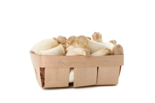 Cogumelos eringi frescos em recipiente isolado sobre fundo branco — Fotografia de Stock