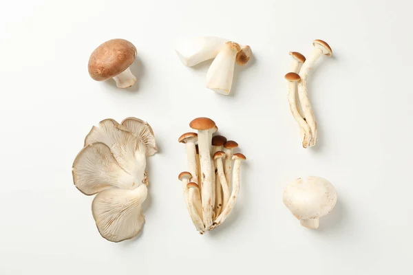 Colocação plana com cogumelos diferentes no fundo branco, vista superior — Fotografia de Stock