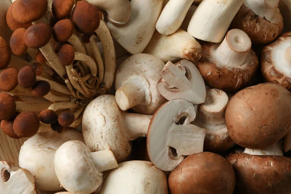 Cogumelos diferentes fundo texturizado, close-up — Fotografia de Stock