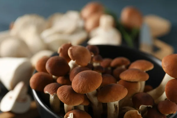 Mel agárico em tigela e cogumelos diferentes, close-up — Fotografia de Stock