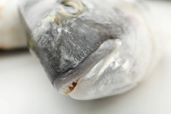 Fresh Dorado fish on white background, close up — Stock Photo, Image