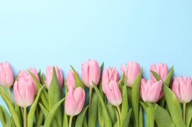 Mavi arkaplanda güzel pembe laleler, metin için boşluk