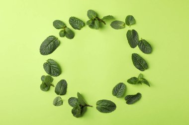 Yeşil arkaplanda nane çemberi, metin için boşluk
