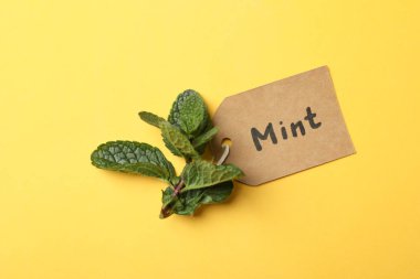 Sarı arkaplanda nane ve nane şekeri, kapat