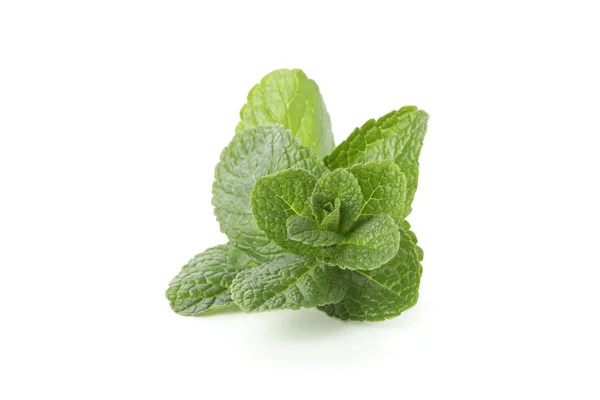 Hojas frescas de menta aisladas sobre fondo blanco —  Fotos de Stock