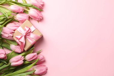 Pembe arka planda güzel laleler ve hediye kutusu, üst manzara.
