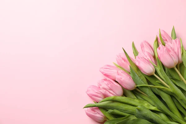 Beautiful tulips on pink background, top view and space for text — 스톡 사진