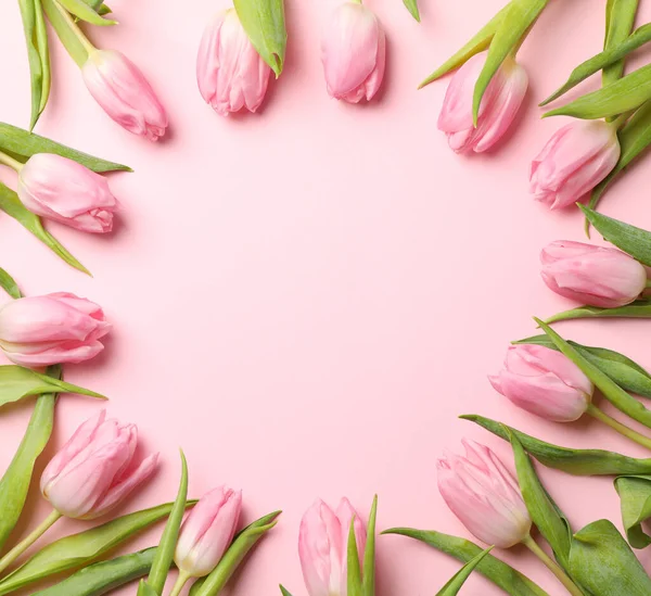 Krásné tulipány na růžovém pozadí, horní pohled a prostor pro text — Stock fotografie