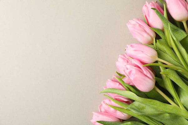 Pink tulips on grey craft background, top view and space for tex
