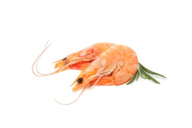 Beyaz arka planda izole edilmiş lezzetli karidesler. Deniz ürünleri.