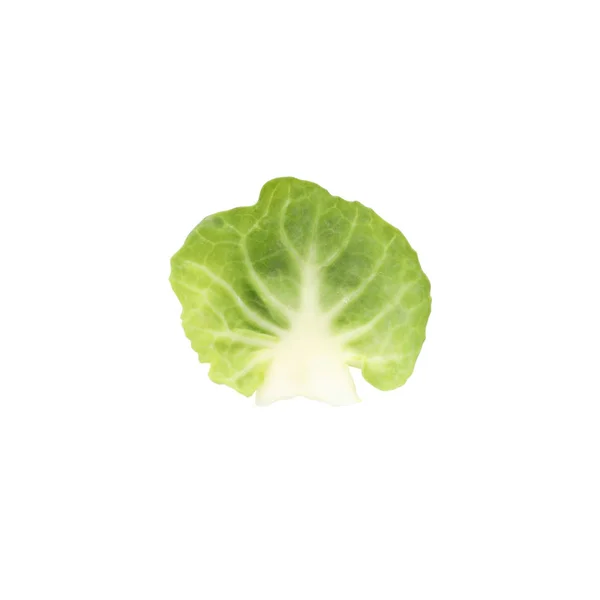 Single brussels sprout isolated on white background — Stock Photo, Image