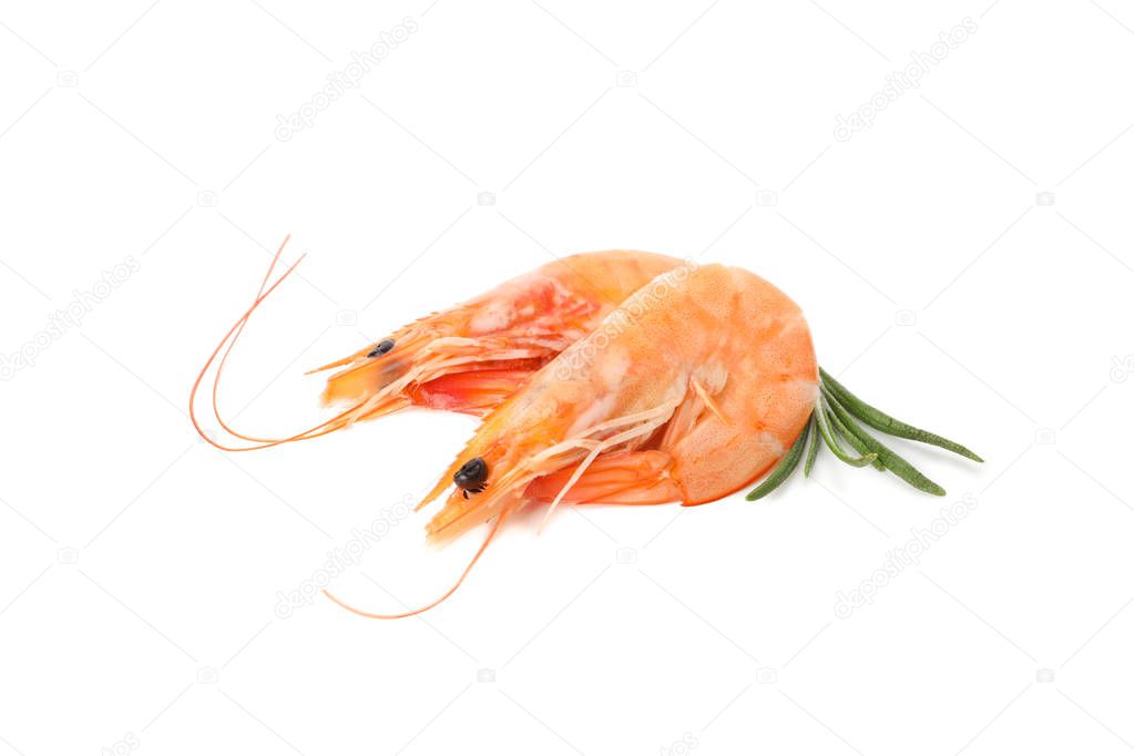 Delicious shrimps isolated on white background. Seafood