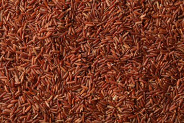 Kahverengi pirinç dokusu arka plan, yakın plan ve makro