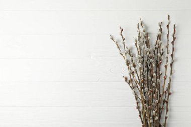 Ahşap zemin üzerinde kedi derisi olan söğüt dalları, metin için yer