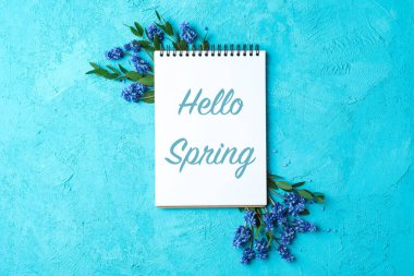 Yazılı kompozisyon Merhaba Spring, üst görünüm