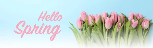 Inscription Hello Spring Tulips Blue Background — Stock Photo, Image