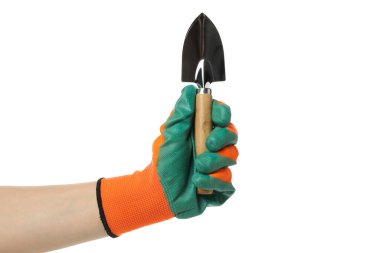 Eldiven içinde küçük bir kürek tutuyor, beyaz arka planda izole edilmiş.