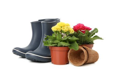 Bahçe botları ve çiçekler beyaz arka planda izole edilmiş