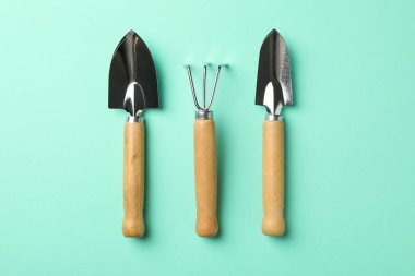 Nane arkaplan, üst görünüm bahçe araçları