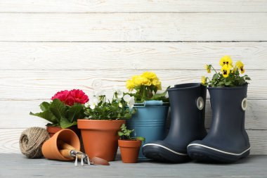 Saksıda çiçekler ve ahşap arka planda bahçe aletleri, metin için boşluk