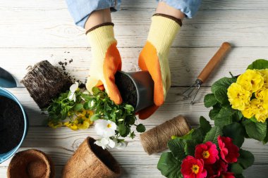 Bahçe aletleriyle ahşap arka planda saksıyı tutan kişi, üst görünüm