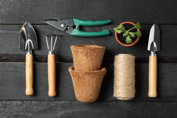 Trädgårdsredskap Och Kruka Med Groddar Trä Bakgrund Ovanifrån — Stockfoto