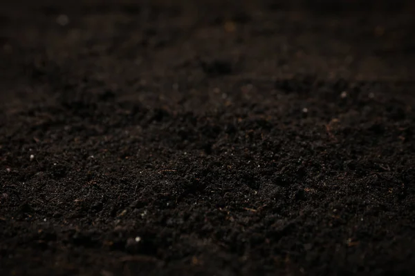 Fondo Textura Fértil Del Suelo Agricultura Jardinería — Foto de Stock