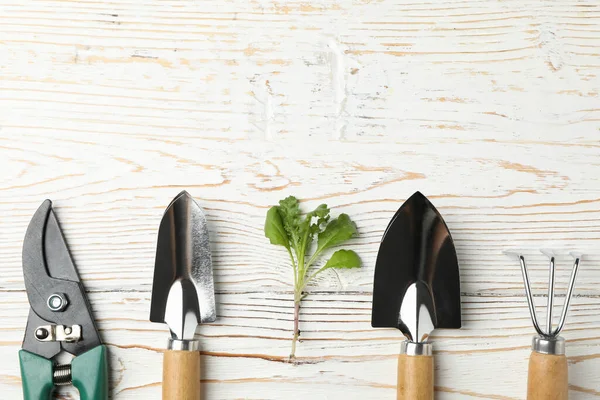 Herramientas Jardinería Brote Sobre Fondo Madera Espacio Para Texto — Foto de Stock