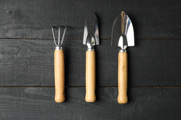Садовые инструменты на деревянном фоне, вид сверху

