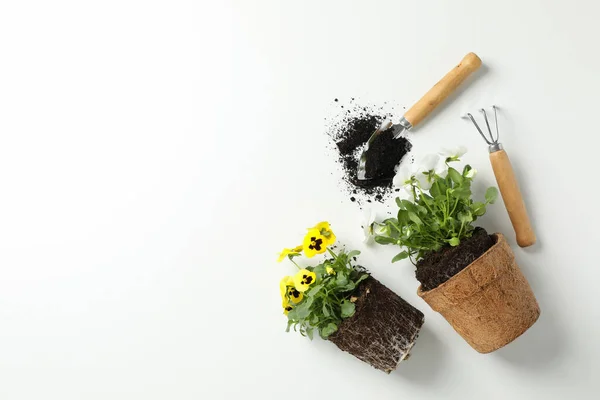 Flores Herramientas Jardinería Sobre Fondo Blanco Vista Superior — Foto de Stock