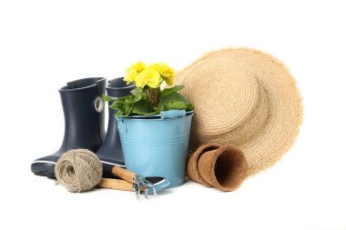 Beyaz arkaplanda izole edilmiş bahçe araçları ve aksesuarları