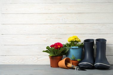 Saksıda çiçekler ve ahşap arka planda bahçe aletleri, metin için boşluk