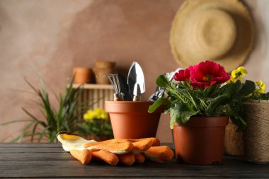 Çiçekler ve bahçe aletleri ahşap masada, metin için boşluk