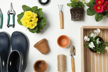 Beyaz arkaplanda bahçe araçları ve aksesuarları ile kompozisyon, üst görünüm