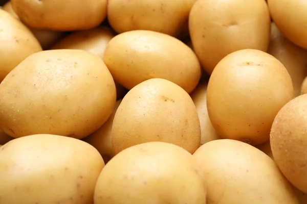 Young Potato Whole Background Close — Stock Photo, Image