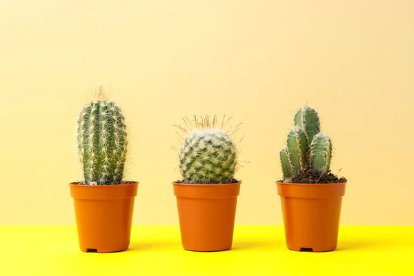 Cacti Vaso Tavolo Giallo Spazio Testo — Foto Stock