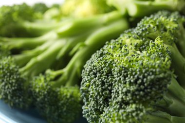 Çiğ brokoli, kapat. Taze sebze. Sağlıklı yemek.
