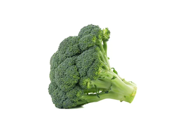 Broccoli Isolated White Background Fresh Vegetable — Stock Photo, Image