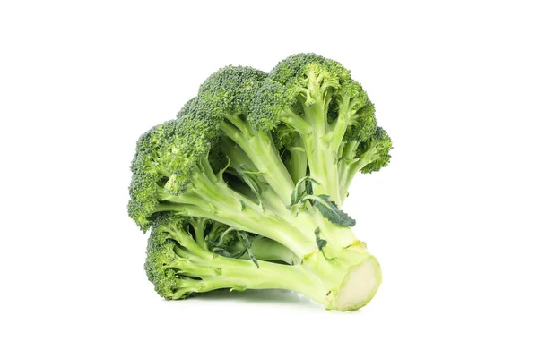 Broccoli Isolated White Background Fresh Vegetable — Stock Photo, Image