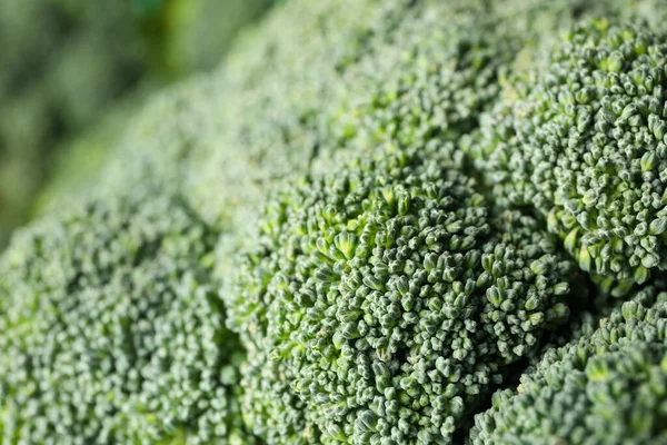 Broccoli Sfondo Intero Macro Ortaggi Freschi — Foto Stock