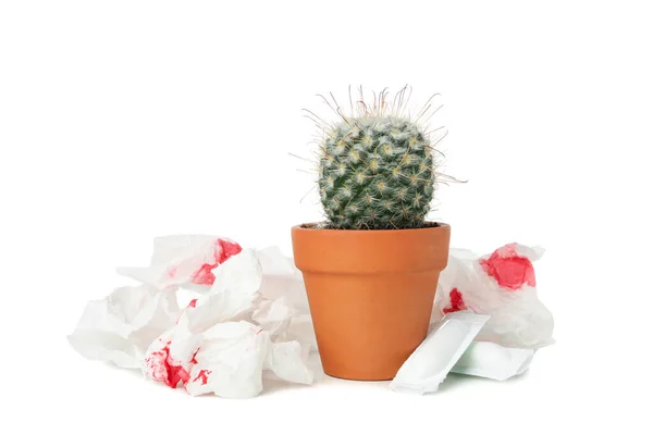 Toalettpapper Med Blod Ljus Och Kaktus Isolerad Vit Bakgrund — Stockfoto