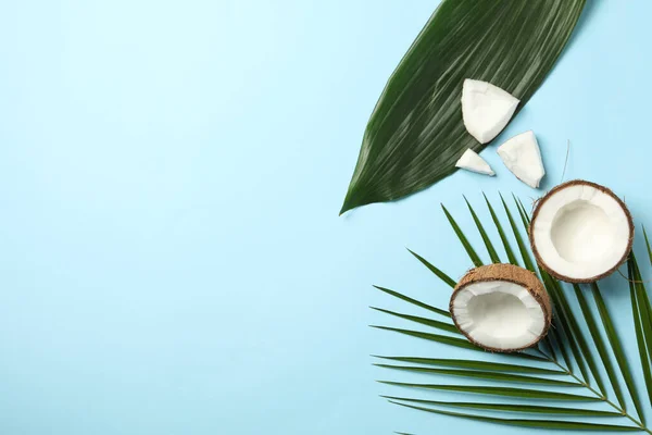 蓝底椰子和棕榈枝 顶视图 — 图库照片