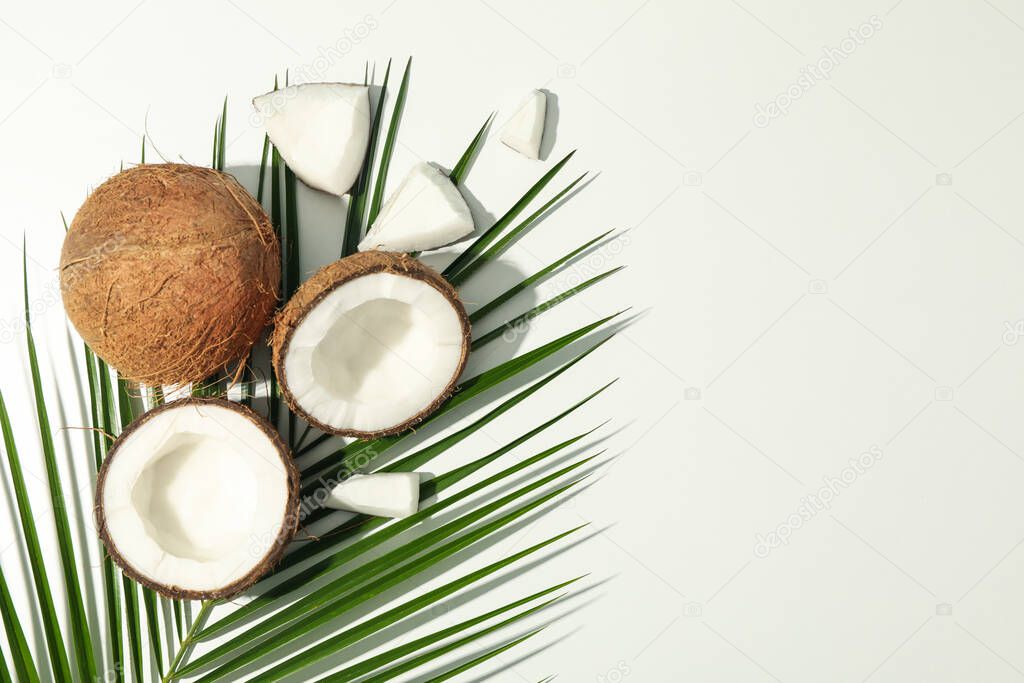 Coconut and palm branch on white background, top view